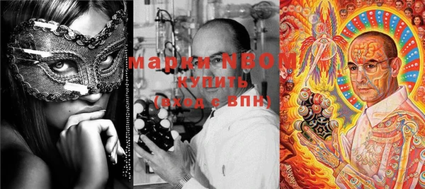 твердый Михайлов