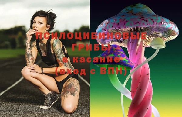 твердый Михайлов