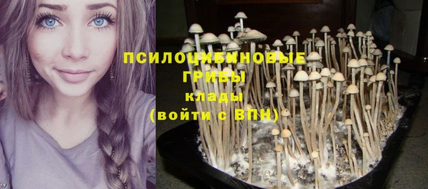 дурь Надым