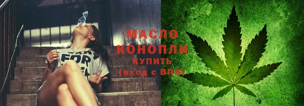 твердый Михайлов